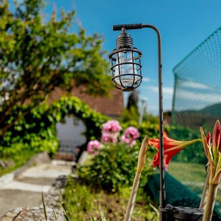 Green Garden Apartments ヘルツェグ・ノヴィ エクステリア 写真