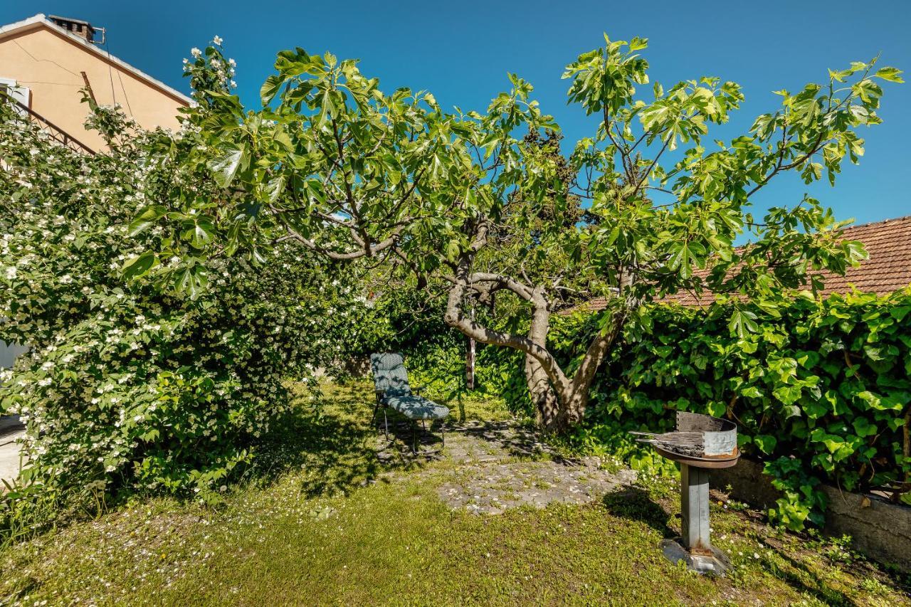 Green Garden Apartments ヘルツェグ・ノヴィ エクステリア 写真
